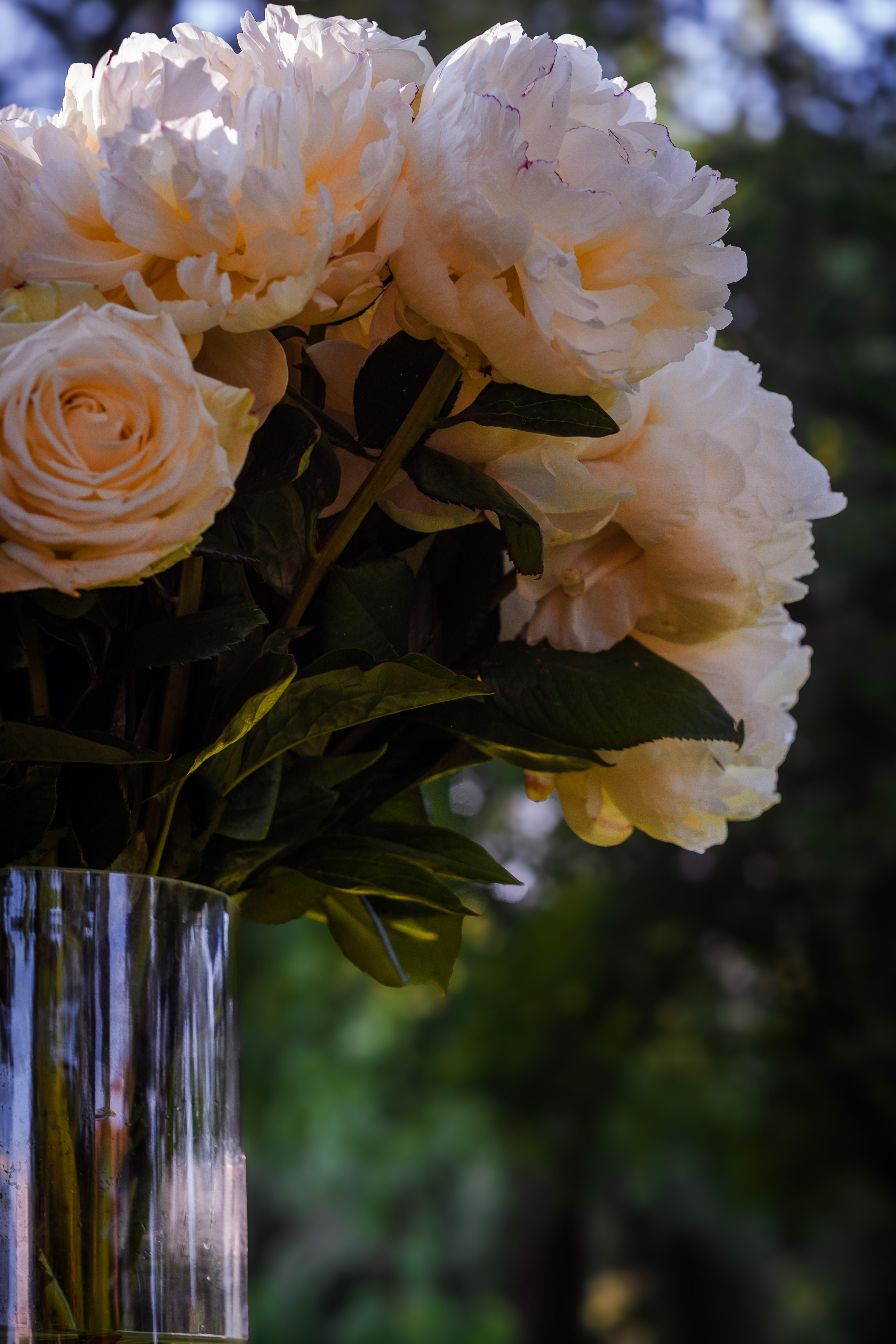 Close-up of a cream rose and peony bouquet, used as a light and colour reference